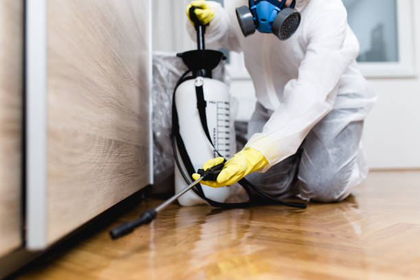 Pest Control for Restaurants in Tonkawa, OK