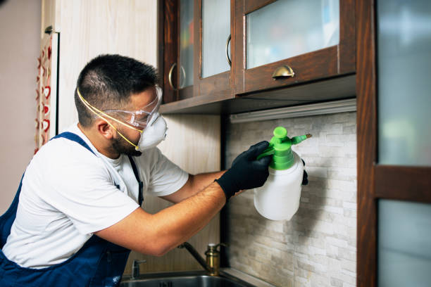 Best Bed Bug Extermination  in Tonkawa, OK