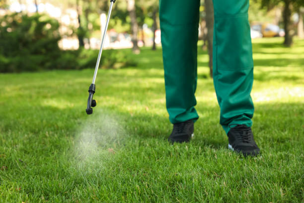 Best Ant Control Services  in Tonkawa, OK