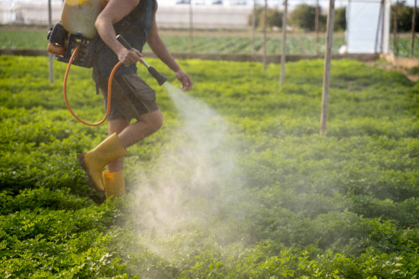 Best Affordable Pest Control Services  in Tonkawa, OK