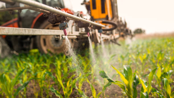 Professional Pest Control in Tonkawa, OK